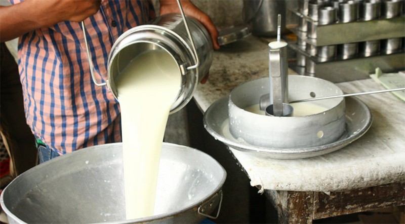अनुदानले उद्यमी बन्दै किसान