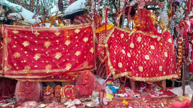 आज पाथीभरा माताको दर्शन गर्दै राशिफल हेर्नुहोस्