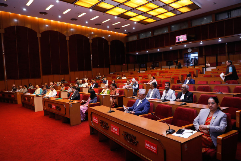 राष्ट्रियसभाका दुई समितिमा सभापति निर्वाचित