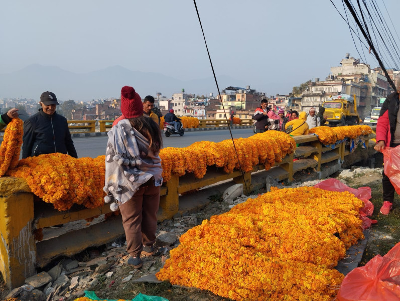 सयपत्री र मखमली माला बेच्न कलंकी, बल्खु लगायत सडक छेउ बसेका व्यापारी [तस्बिरहरू]