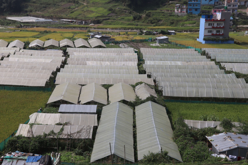 म्याग्दीमा कृषि विकासका लागि गण्डकी सरकारको प्राथमिकता