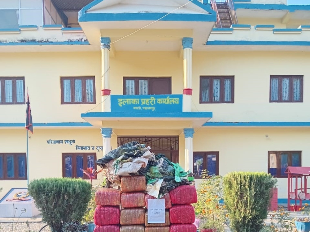 मकवानपुरमा १३७ केजी गाँजा बरामद