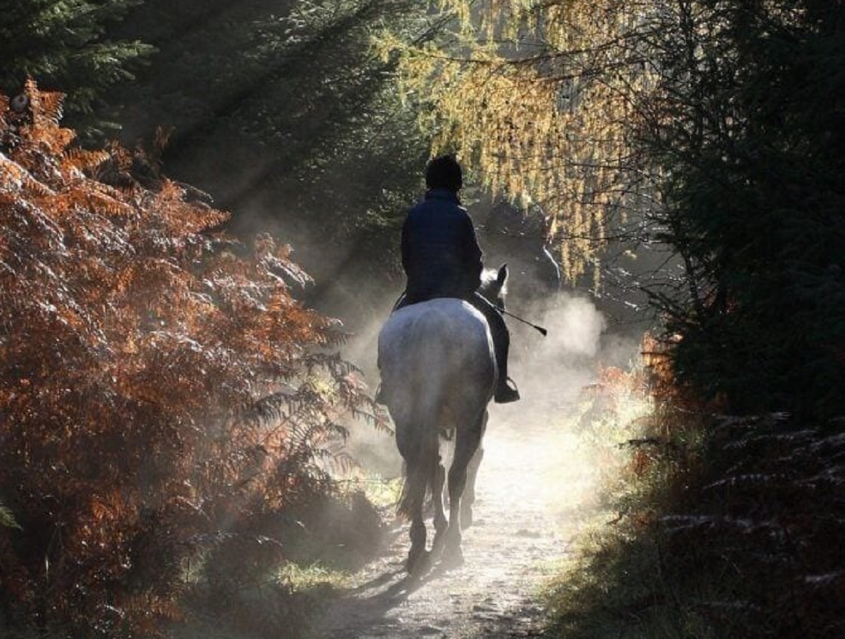 घोडा दौडमा कास्कीका दीपेन्द्र प्रथम