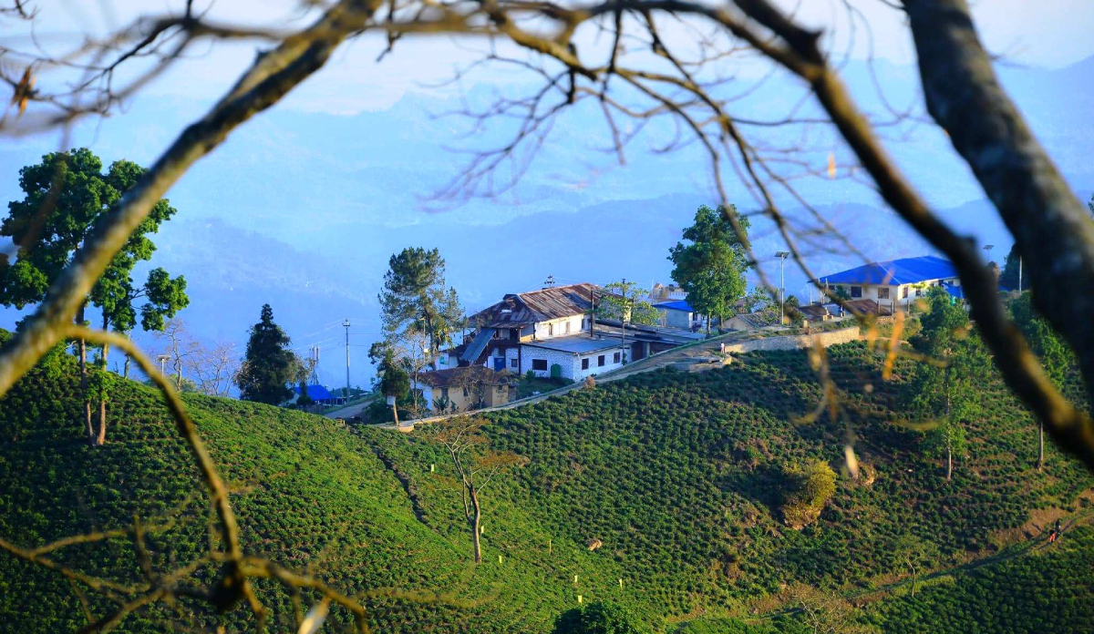 Ilam-101-1697768915.jpg