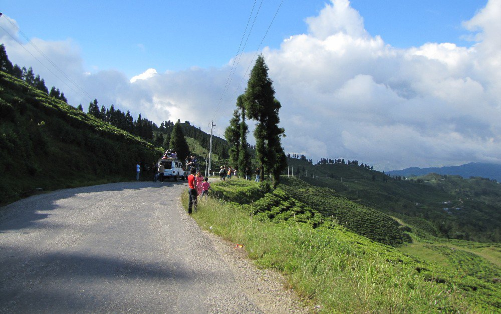 Ilam-102-1697768816.jpg