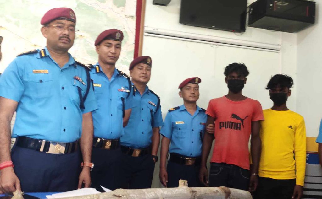 सँगै बसेर लागूऔषध सेवन, त्यसपछि साथीकै हत्या