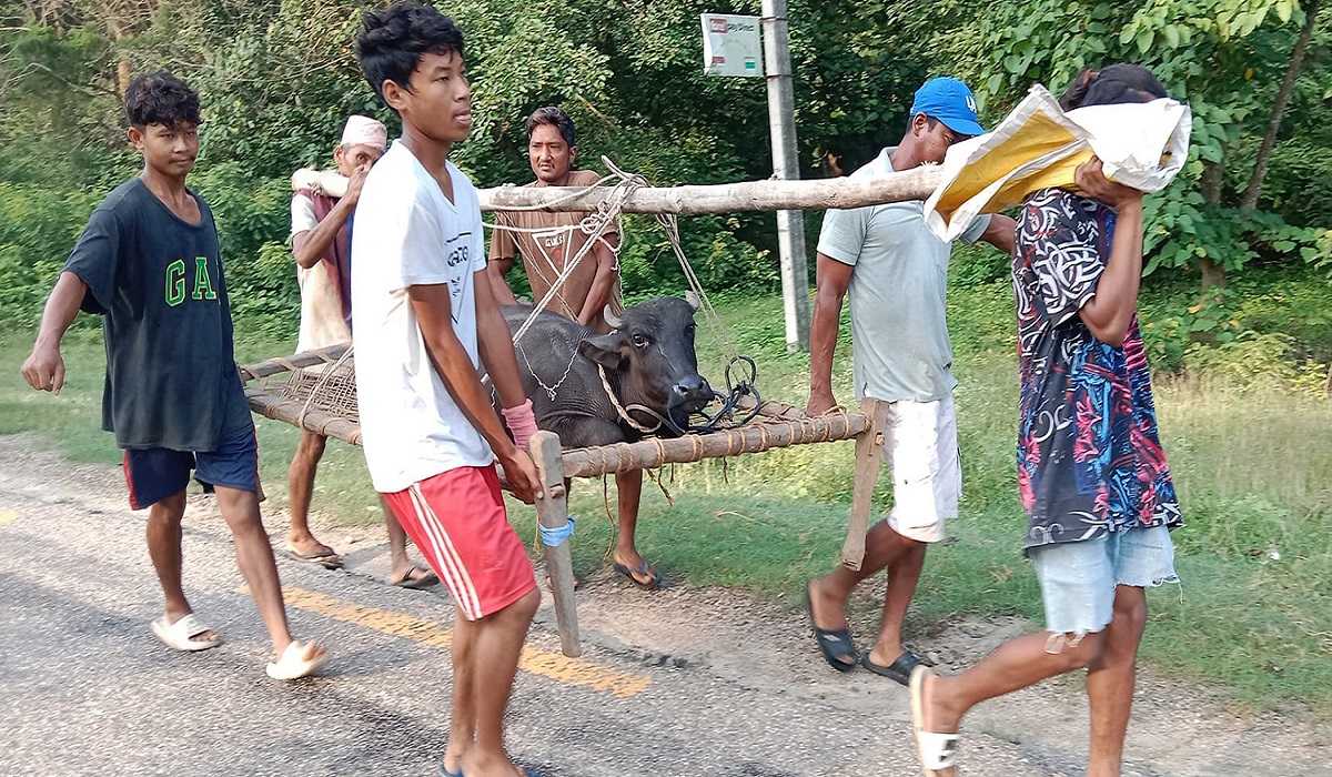 पाँच वटा राँगा मारेर भागेको बस नियन्त्रण, चालकमाथि अनुसन्धान सुरु