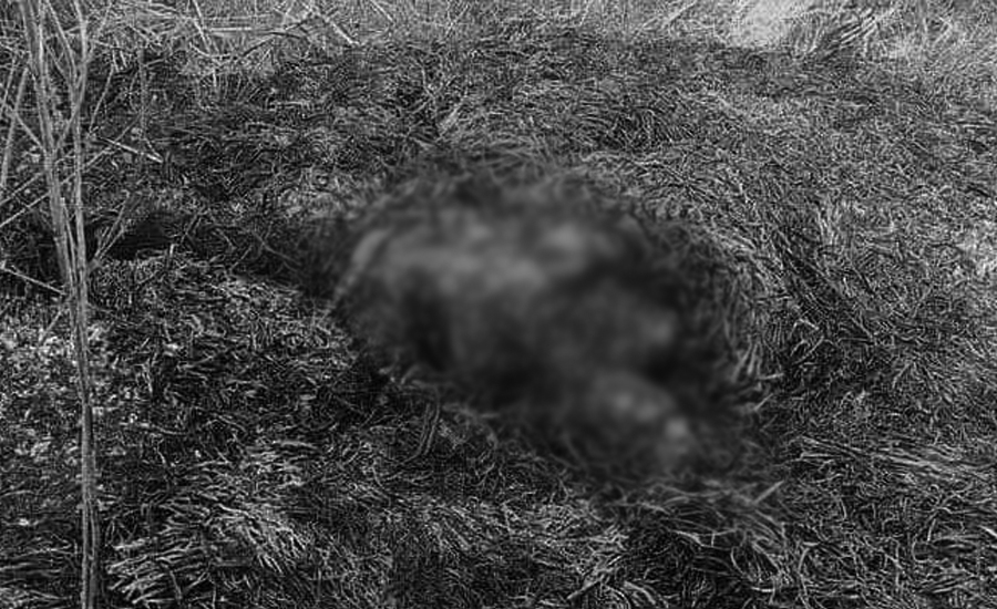 ललितपुरमा जलेर मृत्यु भएका व्यक्तिको पहिचान खुल्यो