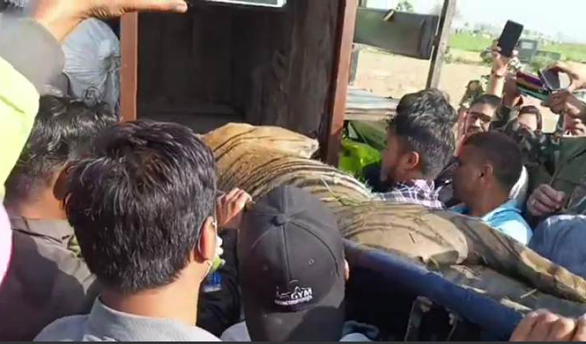 महिलालाई आक्रमण गरी बेपत्ता पार्ने पाटे बाघ नियन्त्रणमा