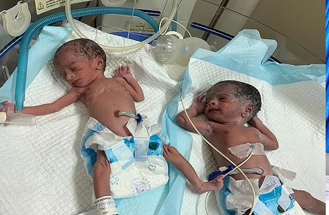 Twins-1703740958.jpg