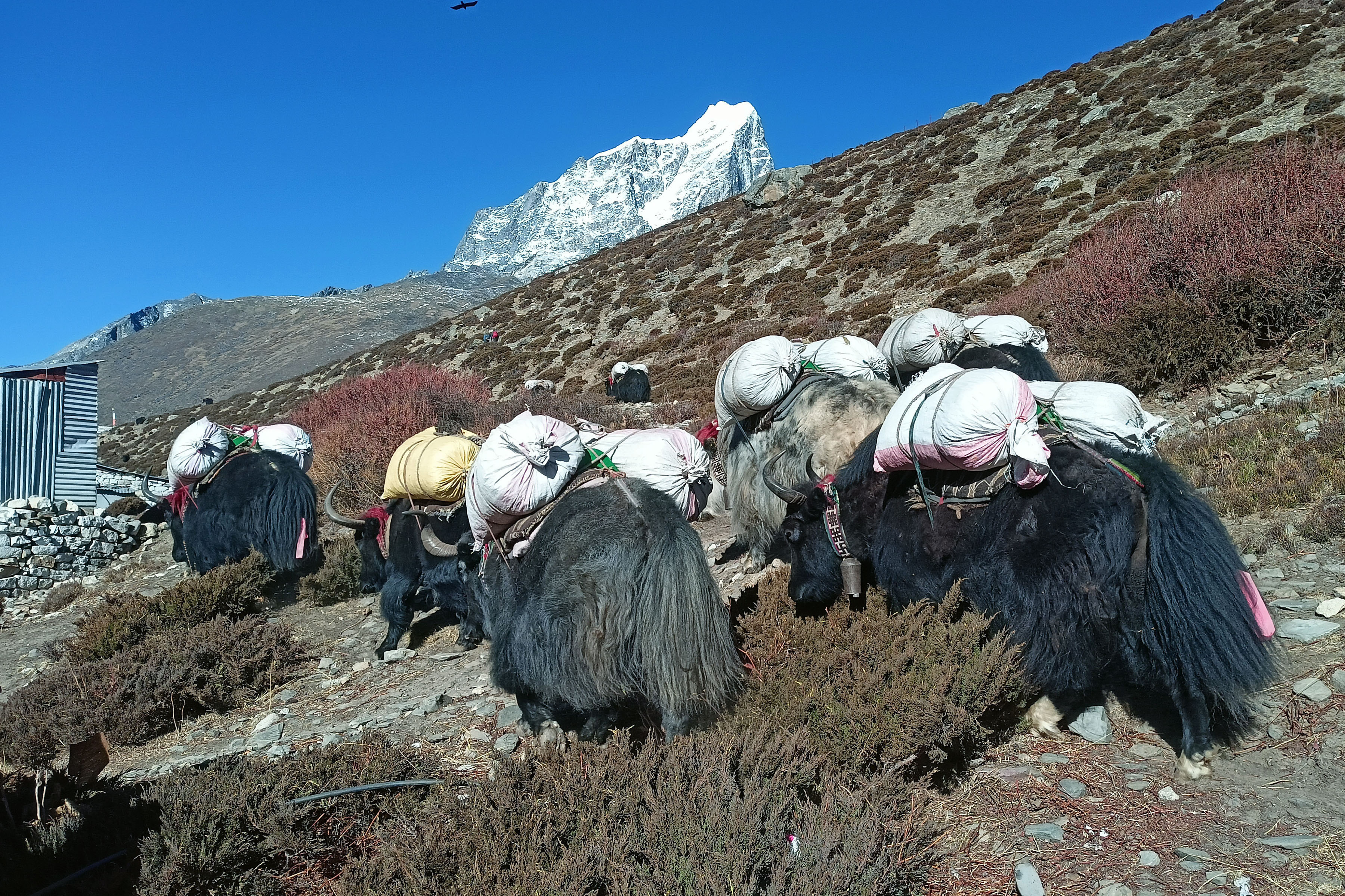हिमाली जिल्लामा यसरी पुग्छ सामग्री