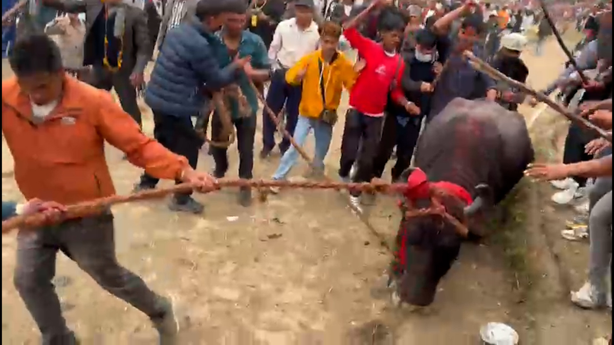 achham-mela-2-1701183142.jpg