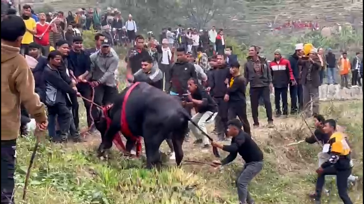 achham-mela-5-1701183141.jpg
