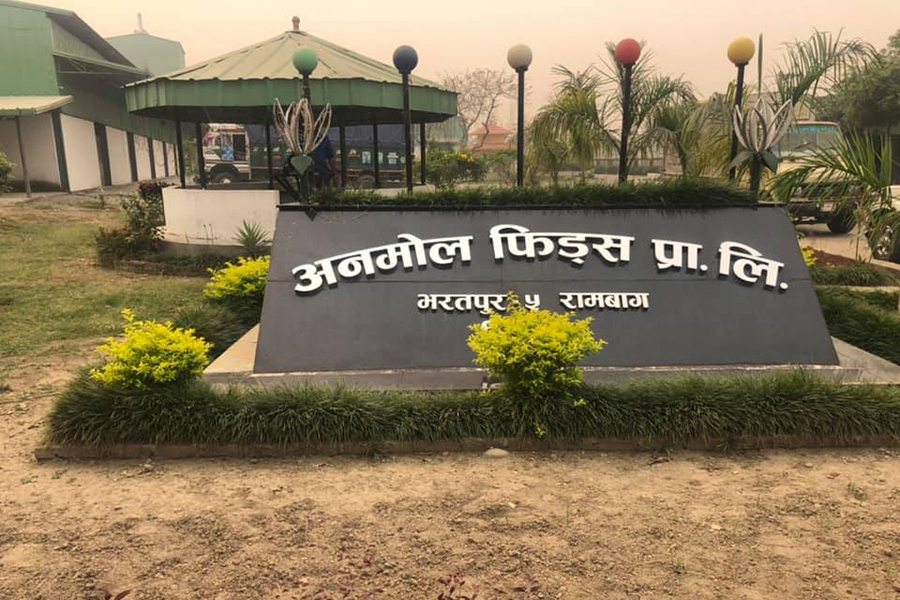 व्यवसायी कँडेल मृत्यु प्रकरण : अनमोल फिड्सका सीए रावल पक्राउ, रुङ्गटा फरार