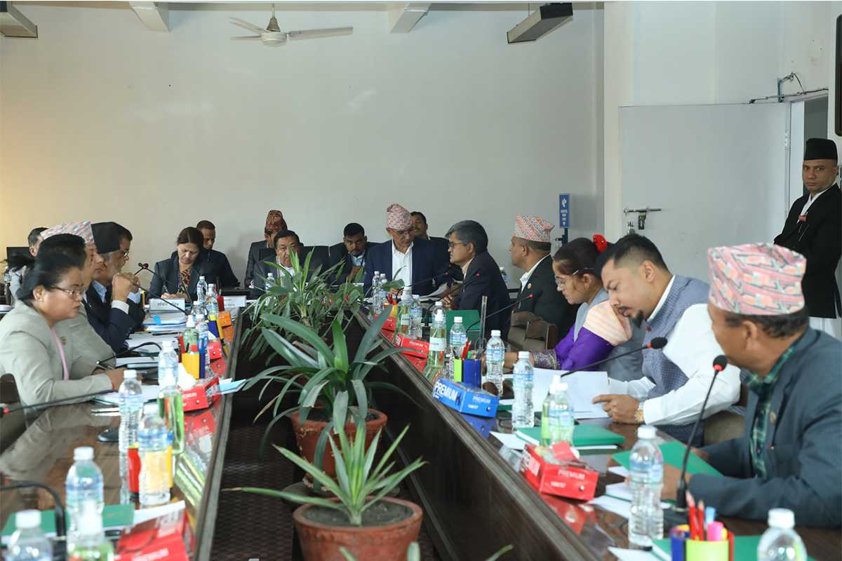 अर्थ समितिको पहिलो बैठक : अर्थतन्त्र सुधारदेखि स्टक लाइसेन्सबारे छलफल