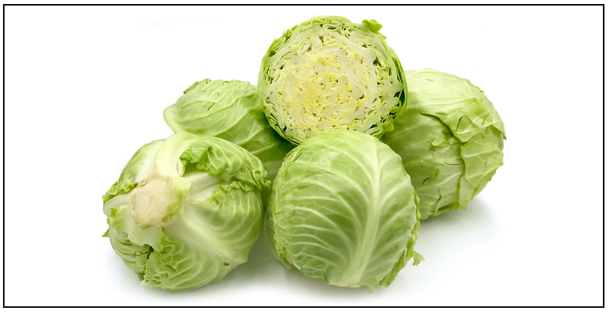 काँकडभिट्टाबाट १७ करोडको बन्दाकोभी भारत निर्यात