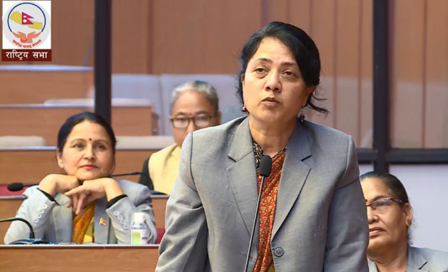 सेनाको संख्या पुनरावलोकन बारे बहस जरुरी छ : पूर्वमन्त्री पौडेल