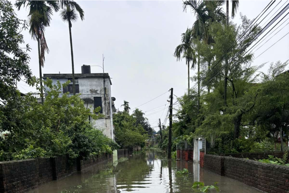 इलाम, झापा, मोरङ र सुनसरीमा धेरै वर्षा, सतर्क रहन आग्रह