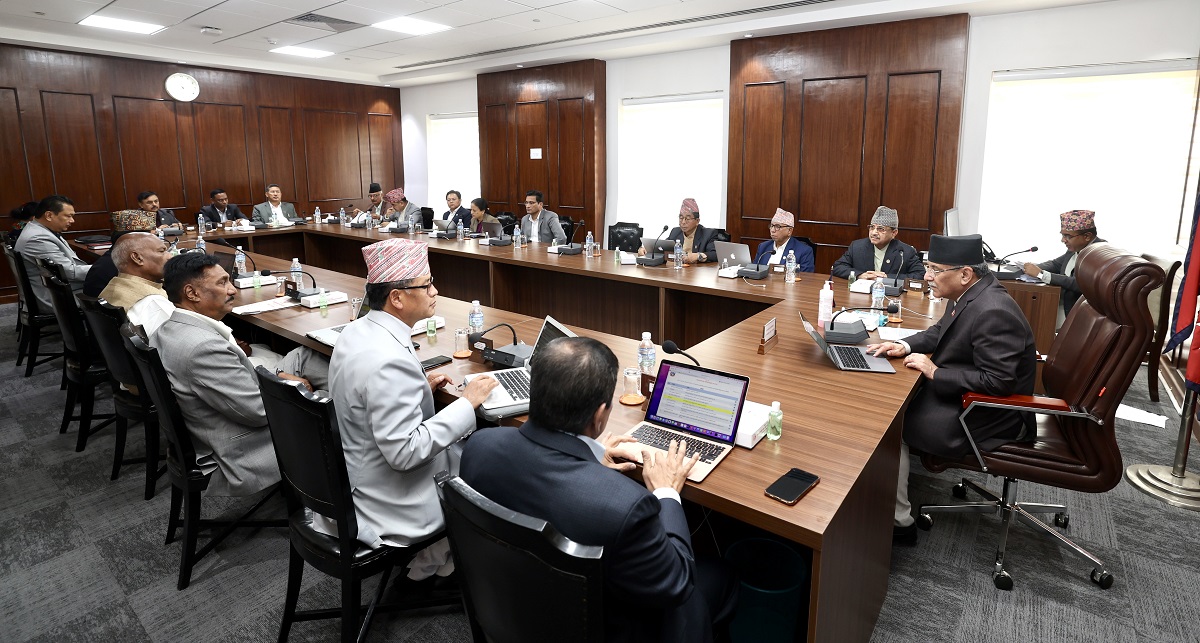 रेशम चौधरीलगायतलाई आममाफी दिन राष्ट्रपति समक्ष सिफारिस गर्ने मन्त्रिपरिषद्को निर्णय
