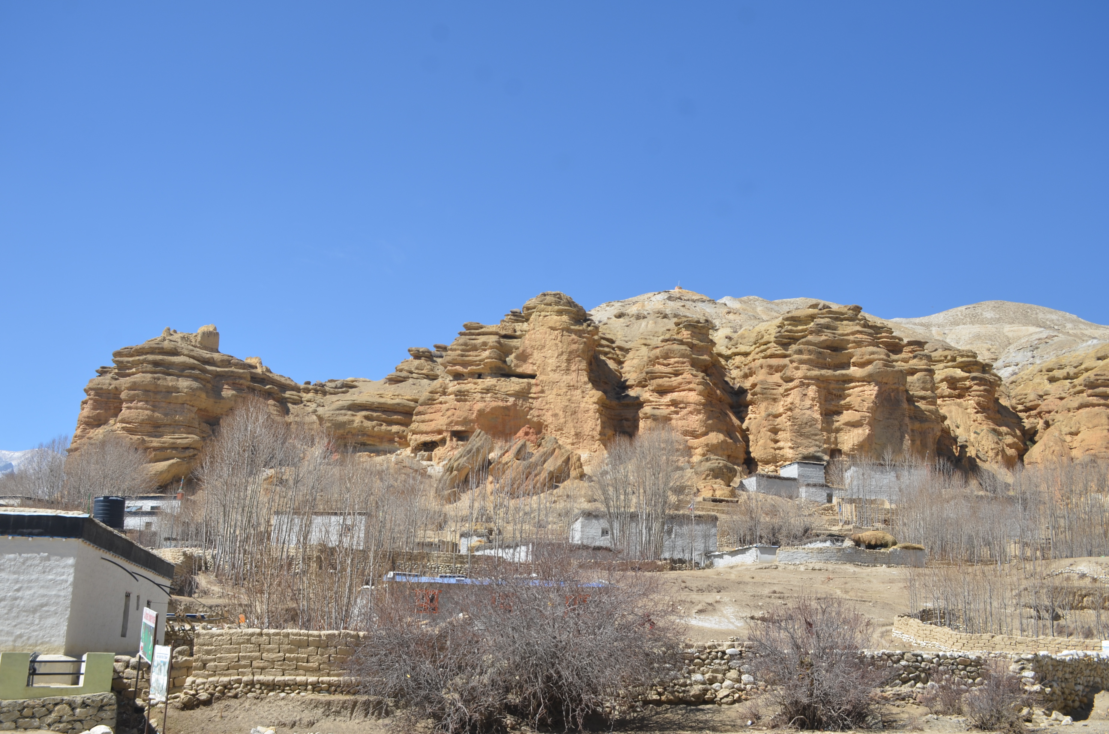 cave-mustang-1704870463.jpg