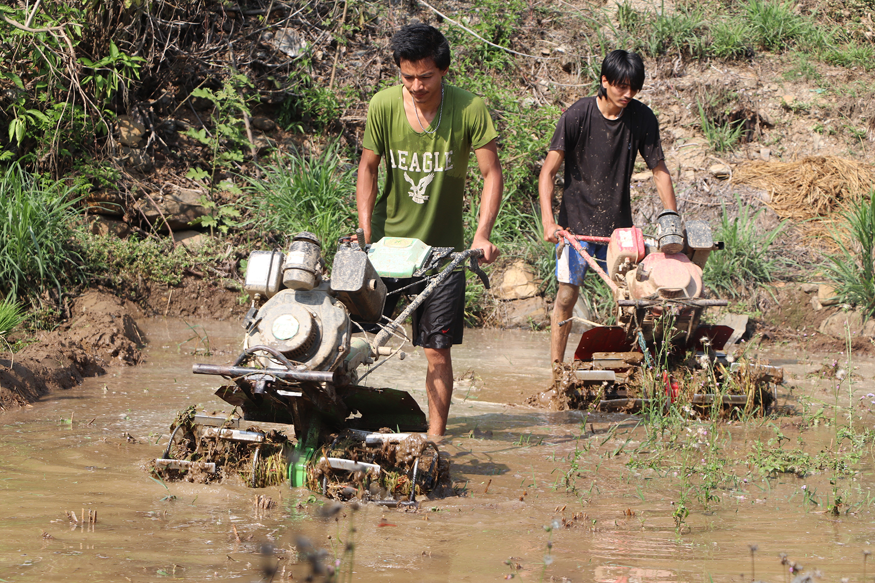 chaite_dhan_ropai_dhading_1-1712207663.jpg