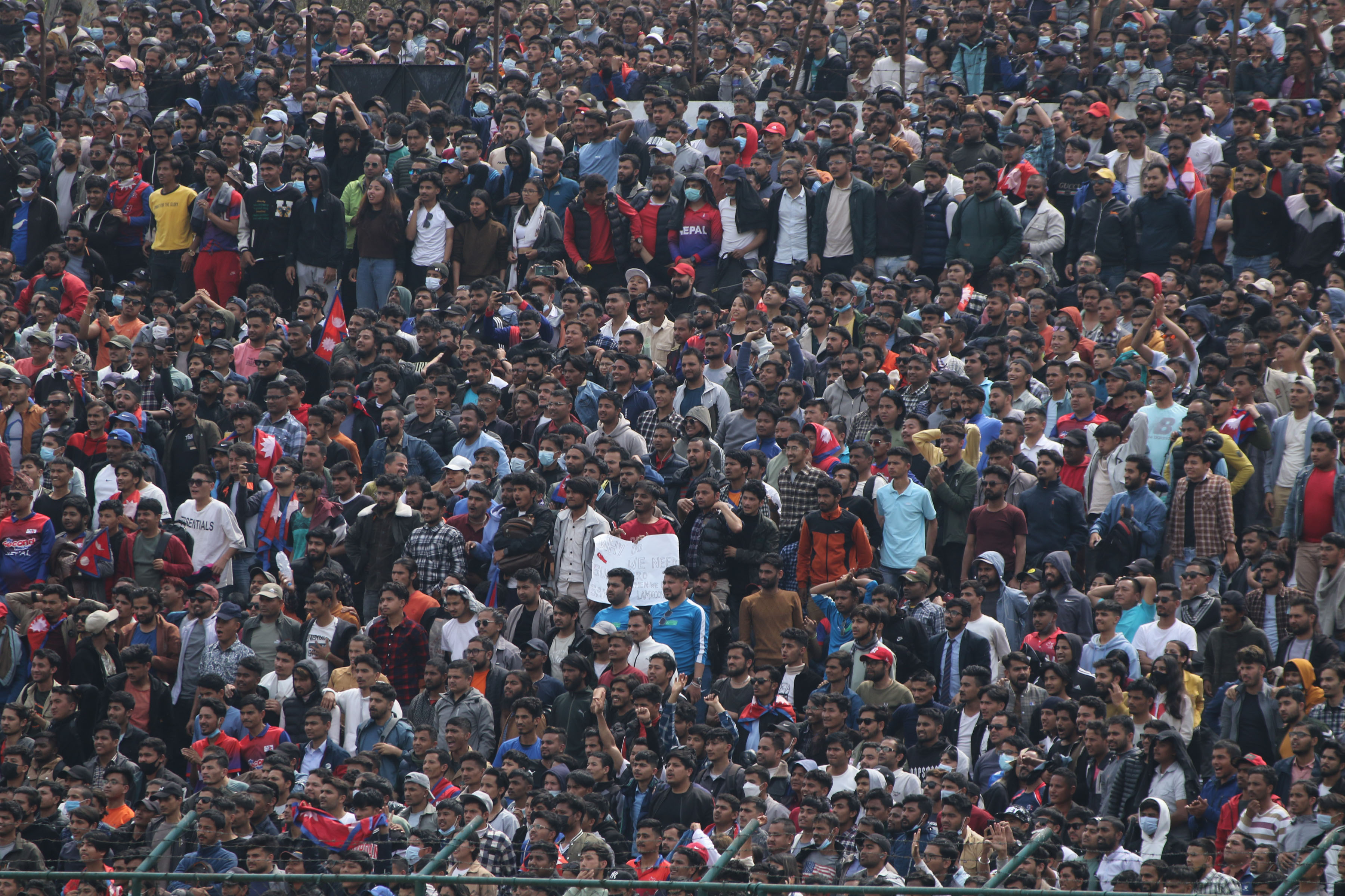 cricket-fan1678968501.jpg