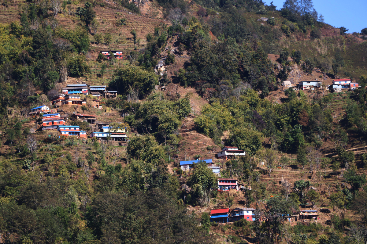 गाउँले शहरमा, जंगली जनावर बस्तीमा