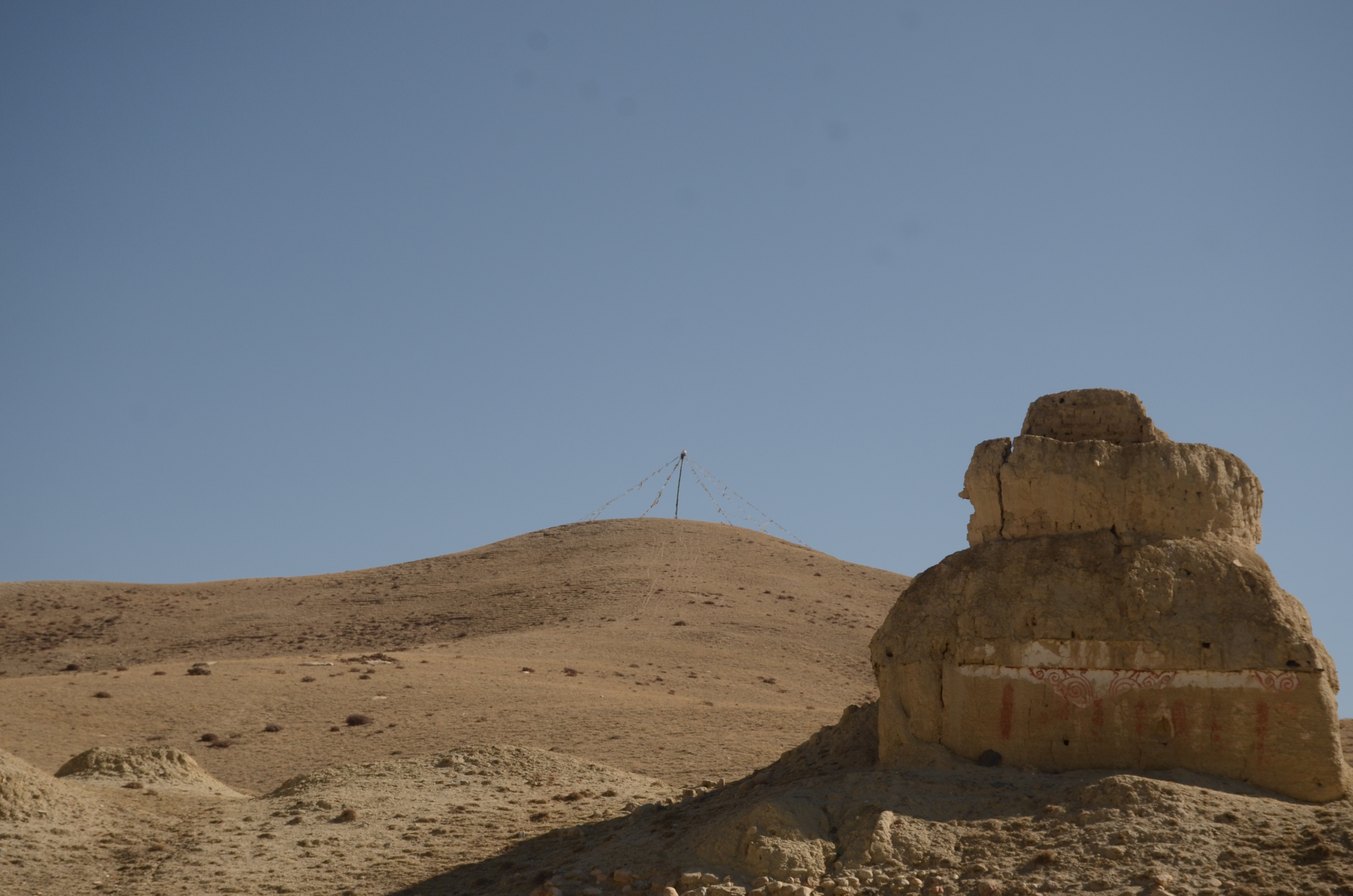 gufa-mustang-1704870463.jpg