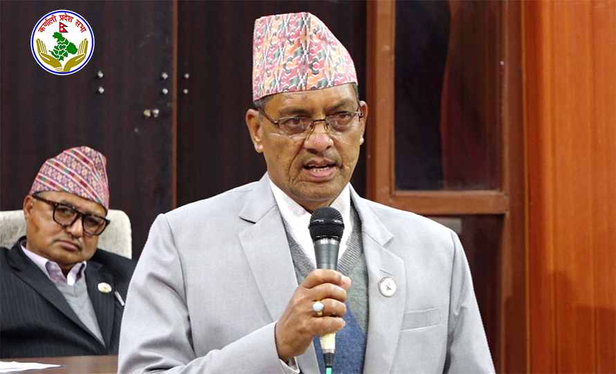 कर्णाली प्रदेश कांग्रेस प्रमुख सचेतकमा विष्ट