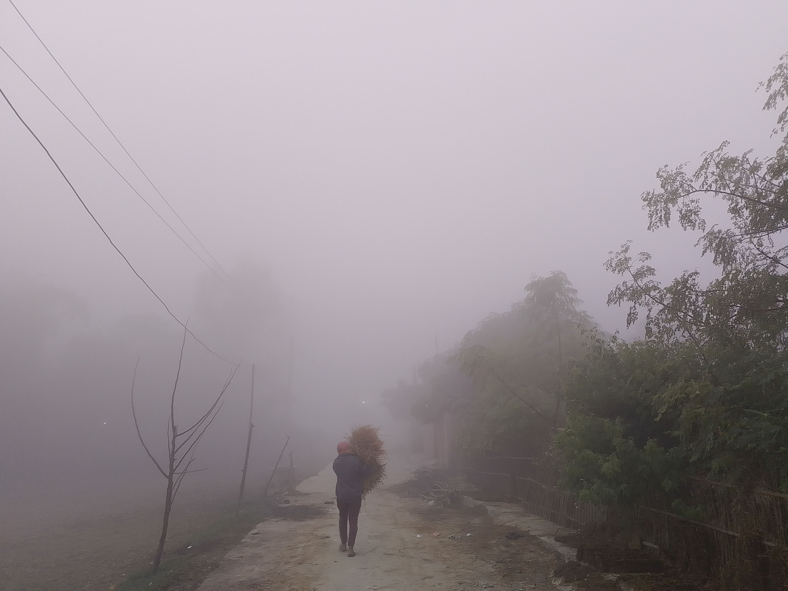 आज यी तीन प्रदेशमा हल्का वर्षाको सम्भावना, तराईमा हुस्सु