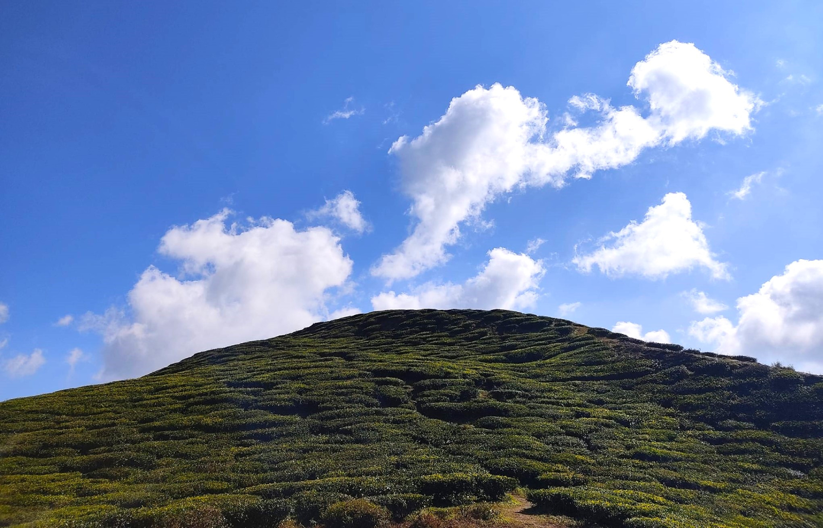 आज देशका अधिकांश भागमा मौसम सफा रहने