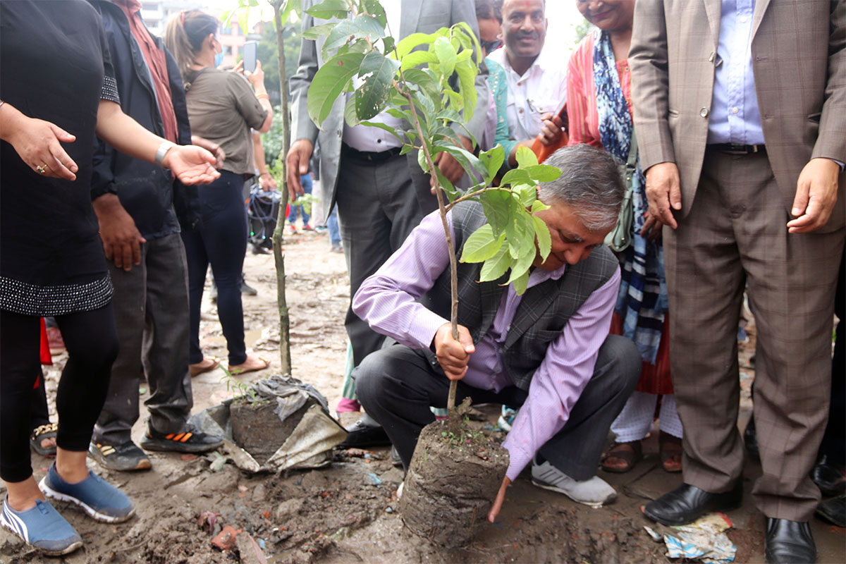 ishworpokharelplanting--1689411509.jpg
