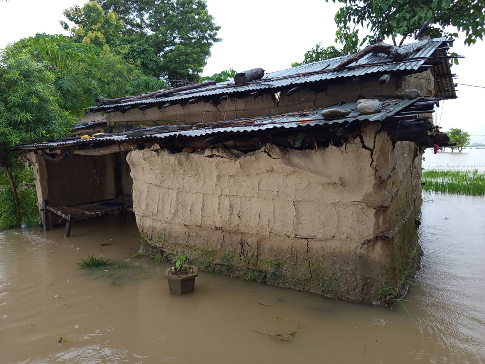 बाढीले कैलालीको जनजीवन प्रभावित