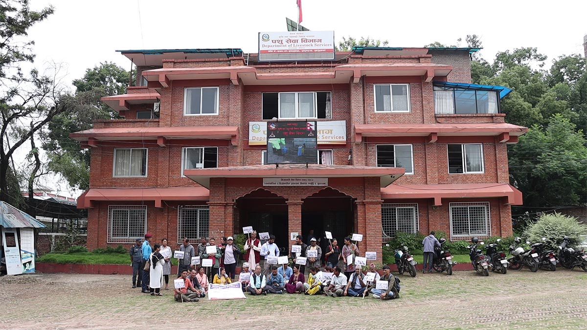 पशु किसानहरू धर्नामा : लम्पी स्किन रोग नियन्त्रण र पीडितलाई तत्काल क्षतिपूर्ति दिन सरकारलाई दबाब