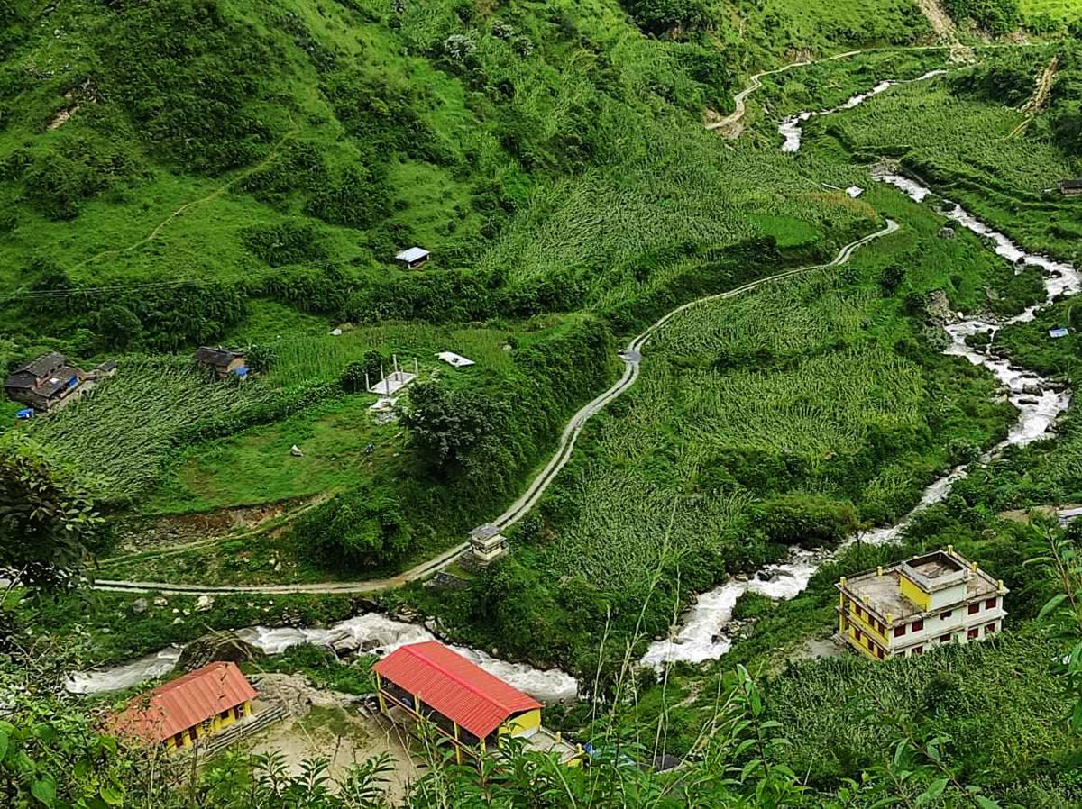 बाग्लुङमा हावाहुरीले मकै बालीमा क्षति पुर्‍यायो