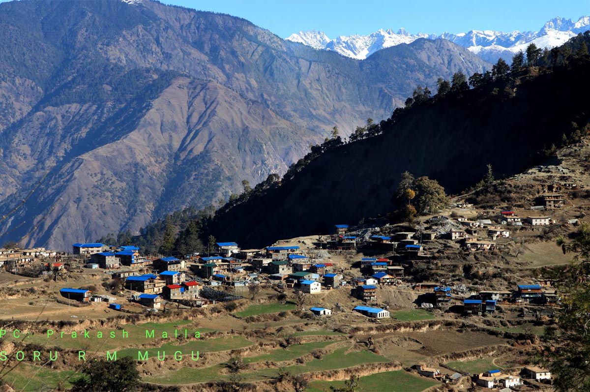 मुगुको सोरुमा खाद्यान्न संकट