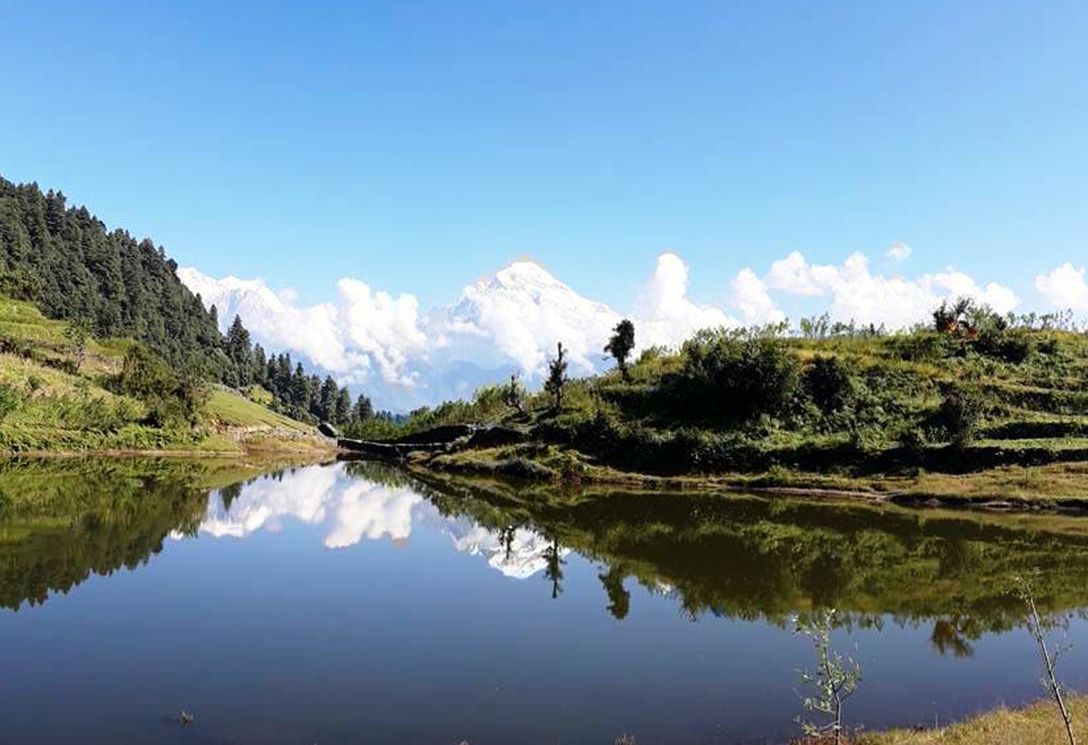 नासिँदै निस्कोट बराह तालको जैविक विविधता