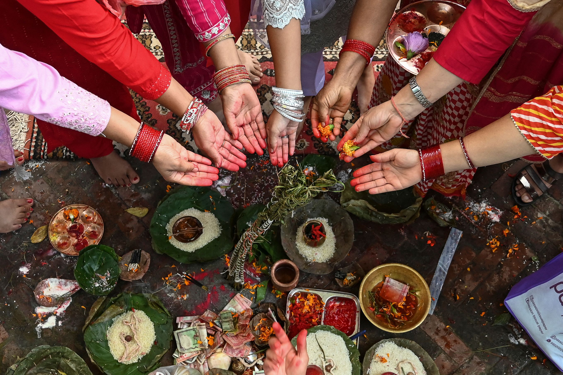 panchami11695125312.jpg