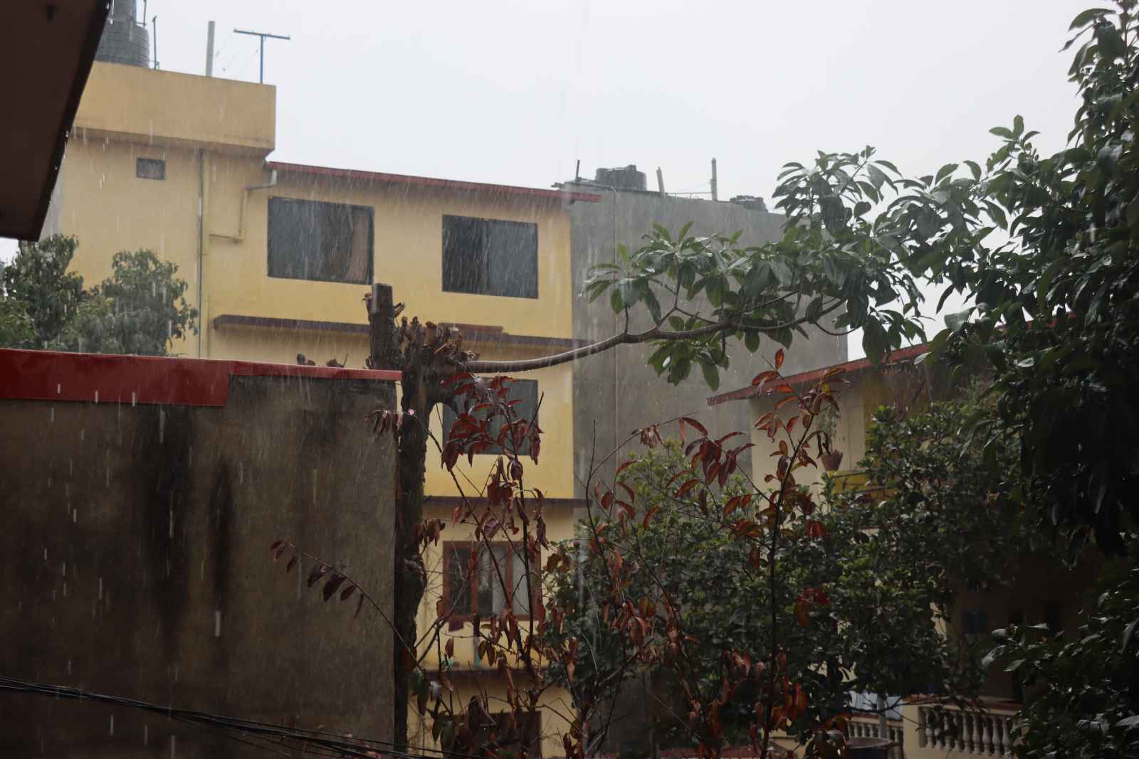 pani-rain-5-1709450614.jpg
