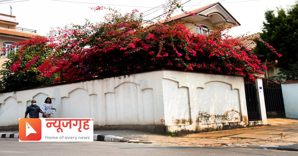 phool111681536510.jpg