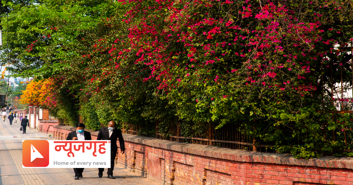 phool131681536526.jpg
