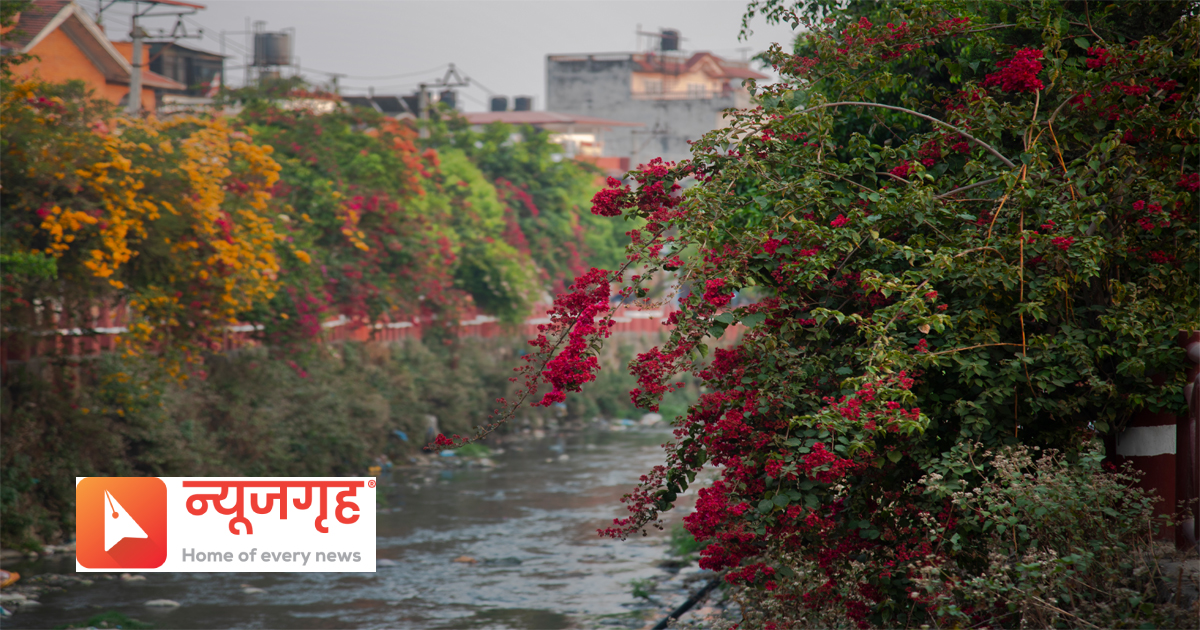 phool161681536548.jpg