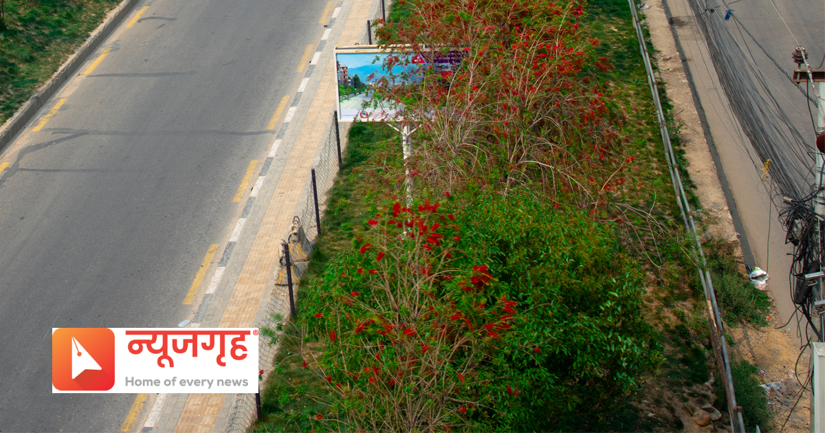 phool21681536394.jpg