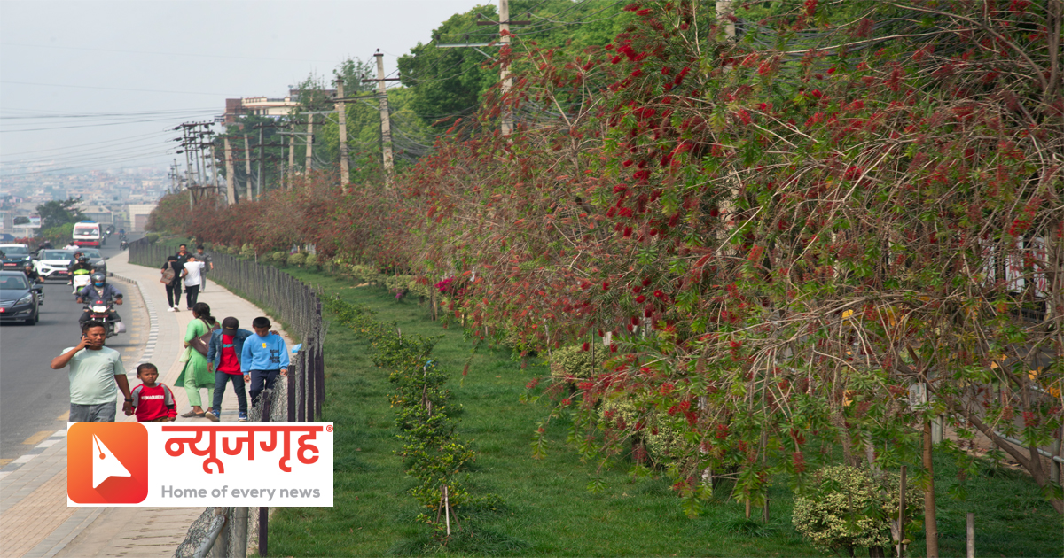 phool41681536414.jpg