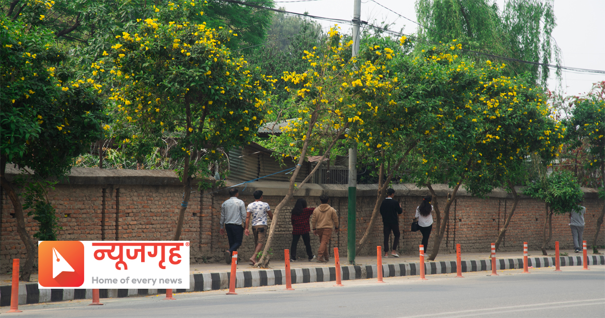 phool51681536428.jpg