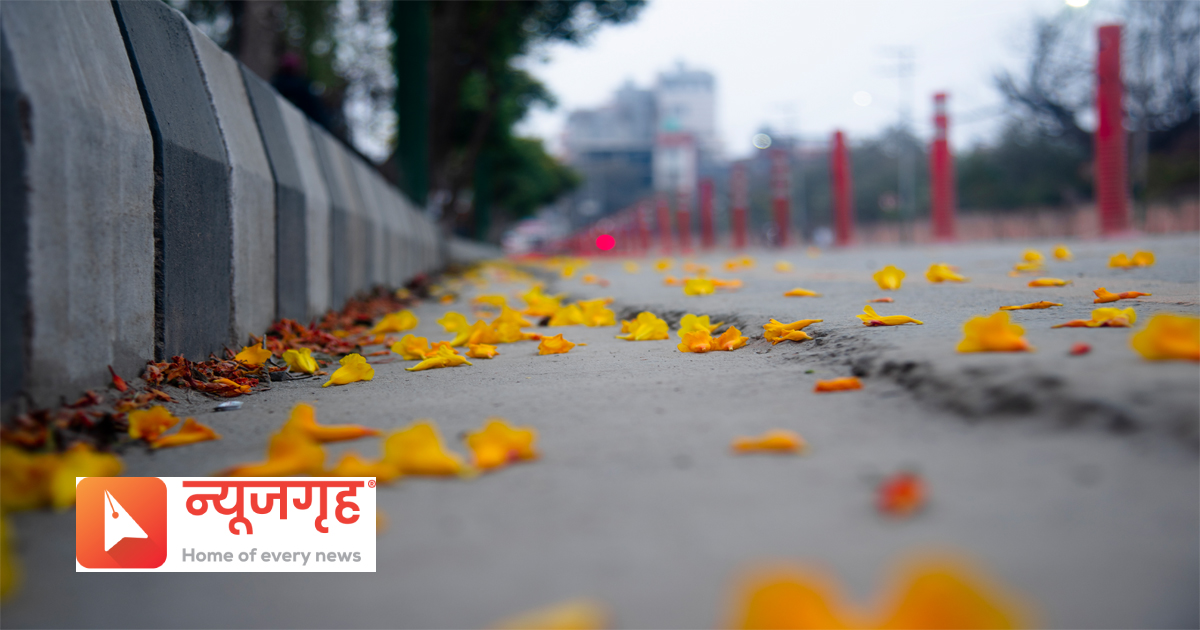phool61681536439.jpg