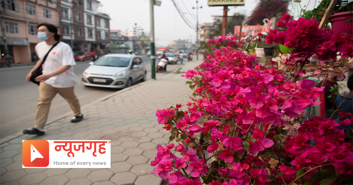 phool71681536448.jpg
