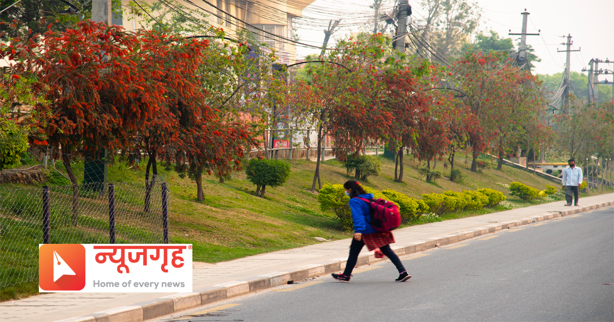 phool91681536485.jpg