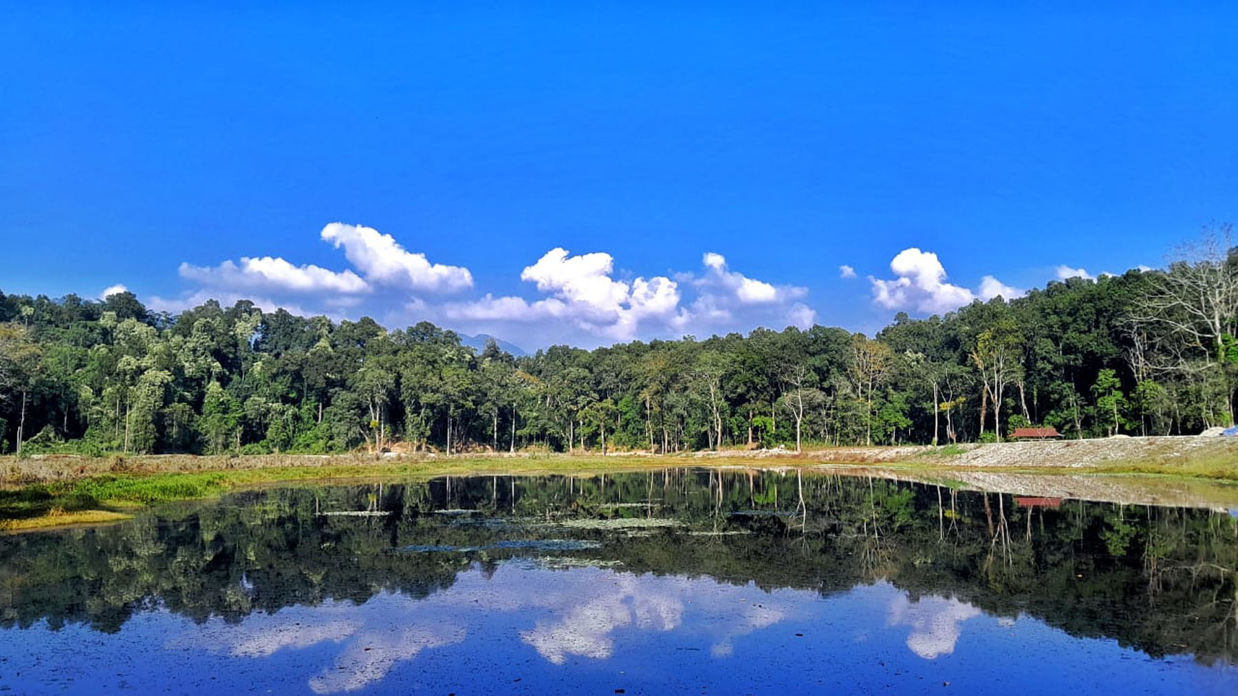 आजको मौसम: हिमपात र वर्षाको सम्भावना