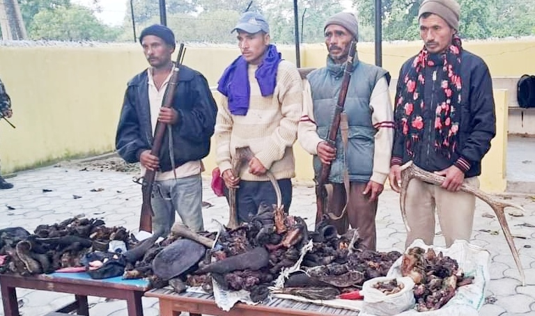 भरुवा बन्दुक र ४० किलो सुकुटीसहित चार पक्राउ 